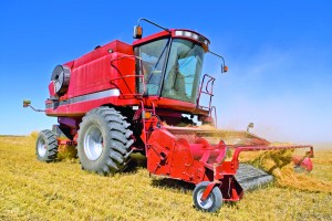 Utilizând soluții informatice de management, fermele agricole își sporesc rentabilitatea