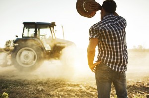 Farmer working in the fields with tractor.