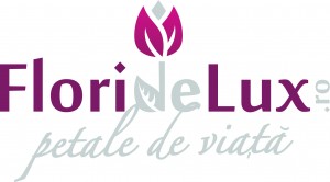 noul-logo-floridelux