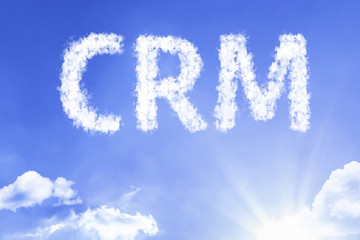 Excel sau CRM?