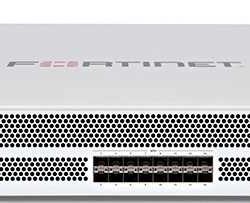 Fortinet Security 3000D