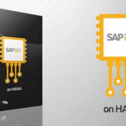 SAP Business One Hana