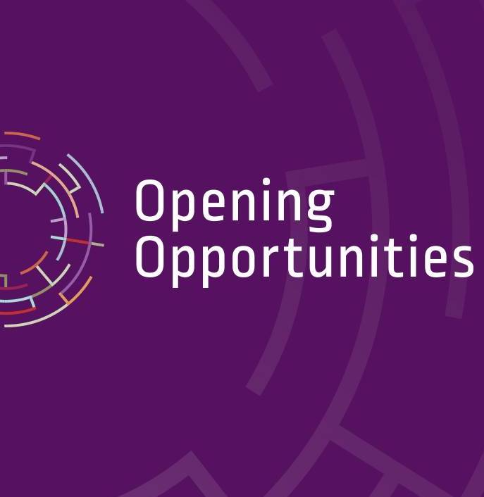 programul-opening-opportunities