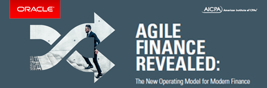 agile finance