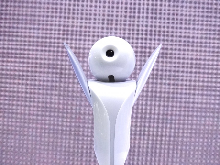 Fujitsu Robopin