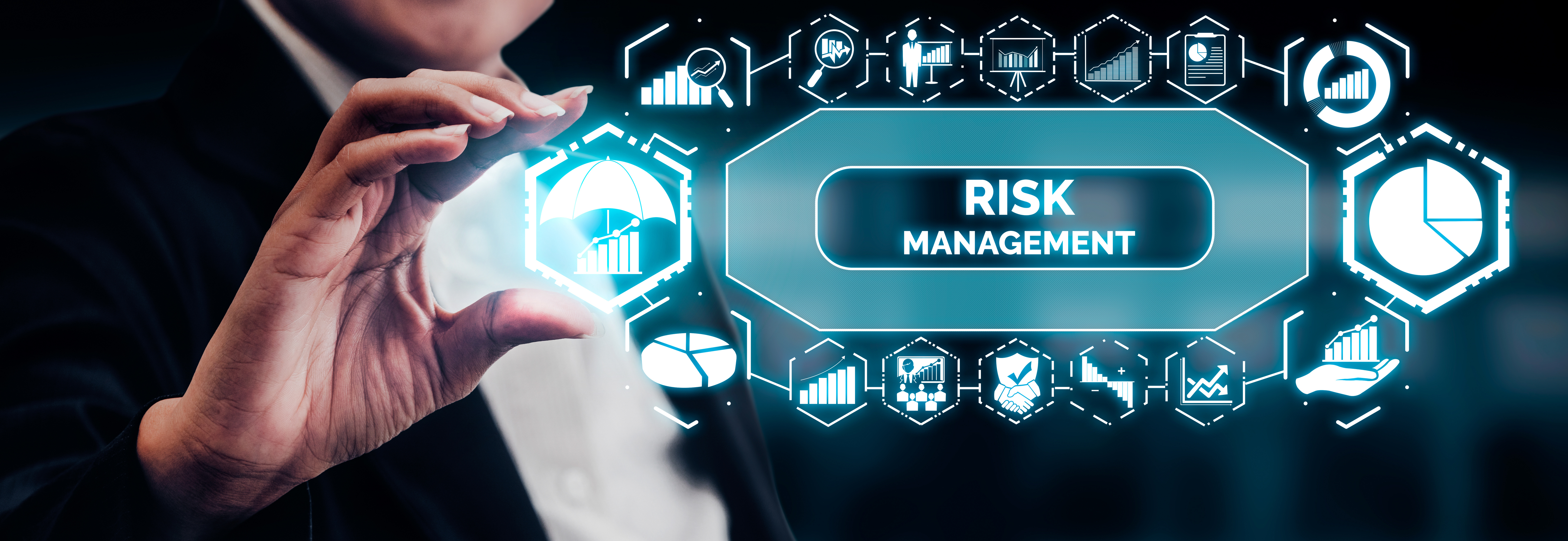 Risk Management and Assessment for Business