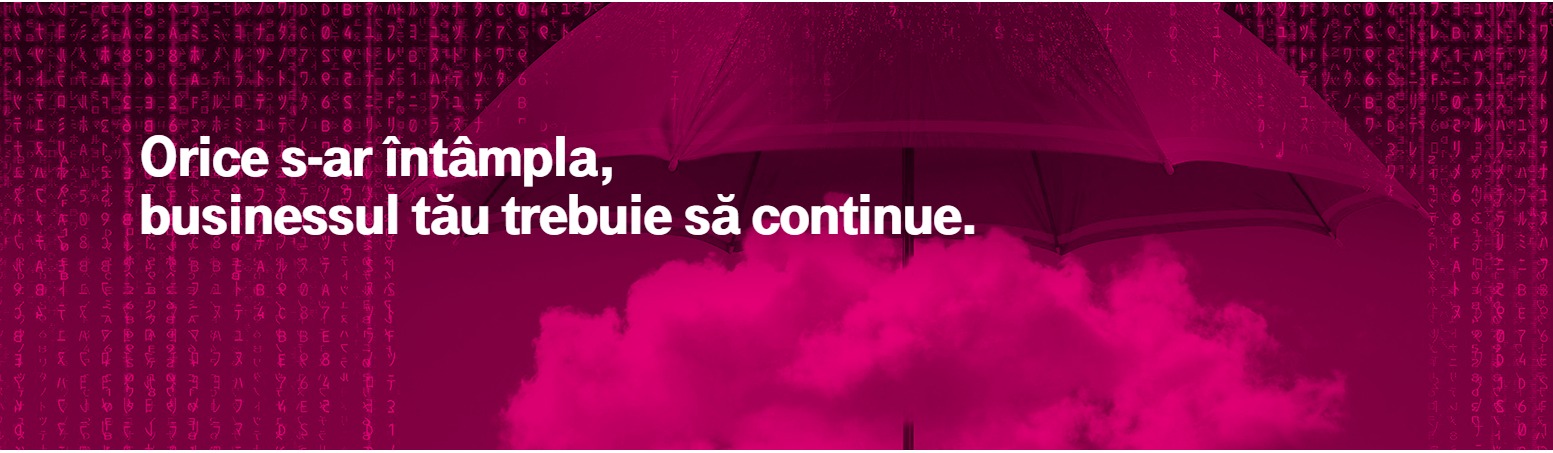 Pachetul gratuit ”Continuitatea afacerii” susține munca de acasă a business-urilor autohtone