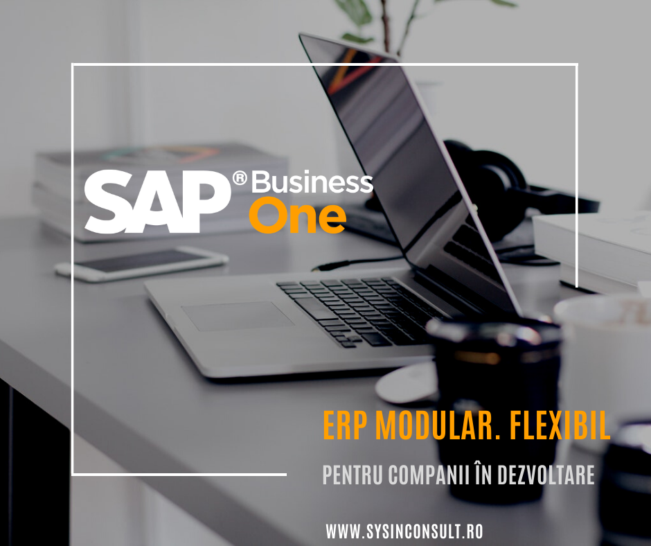 Treci la un nivel superior cu SAP Business One