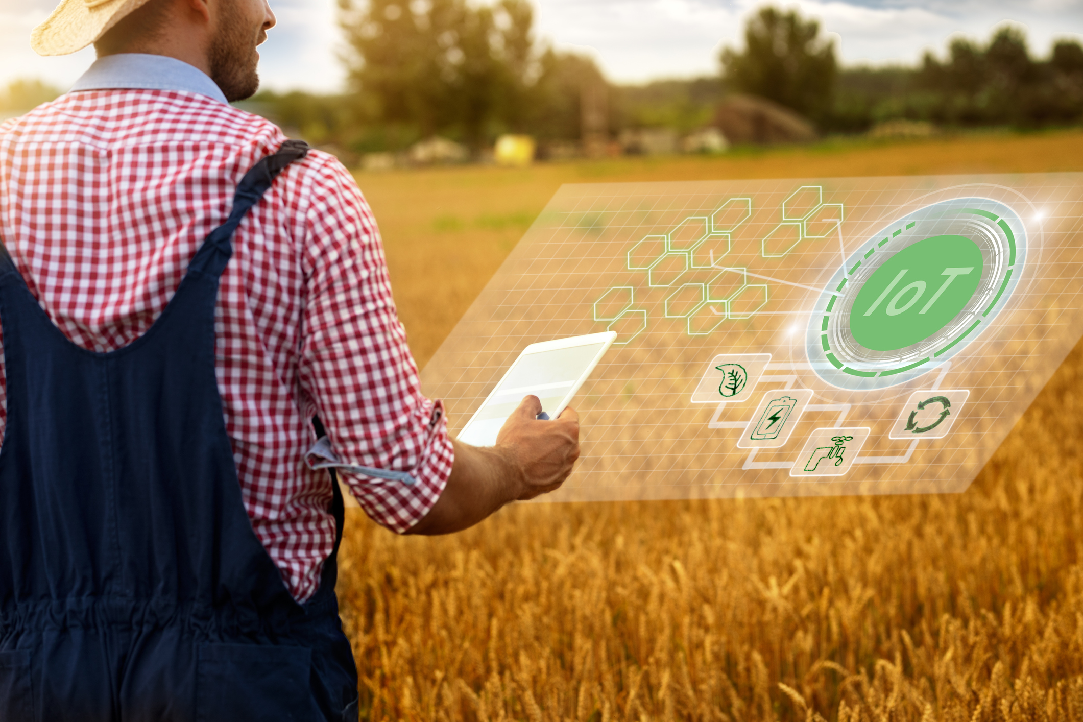 Farm worker in wheat field with digital tablet