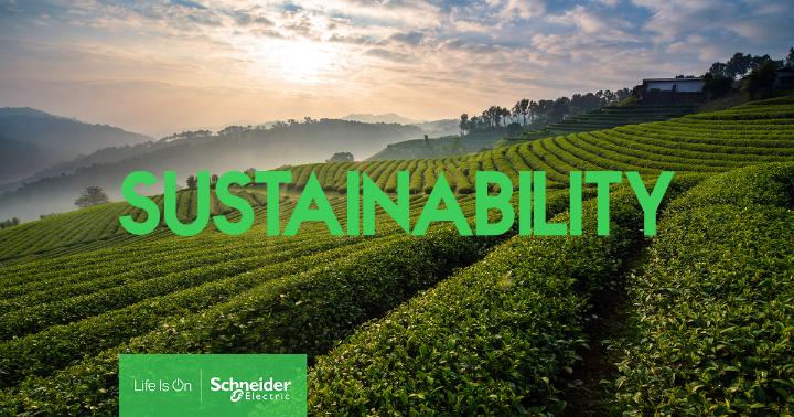 Schneider Electric și Roca Group, parteneriat pentru accelerarea decarbonizării