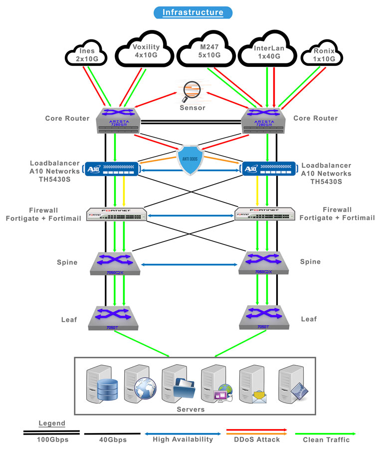 network-768x1086