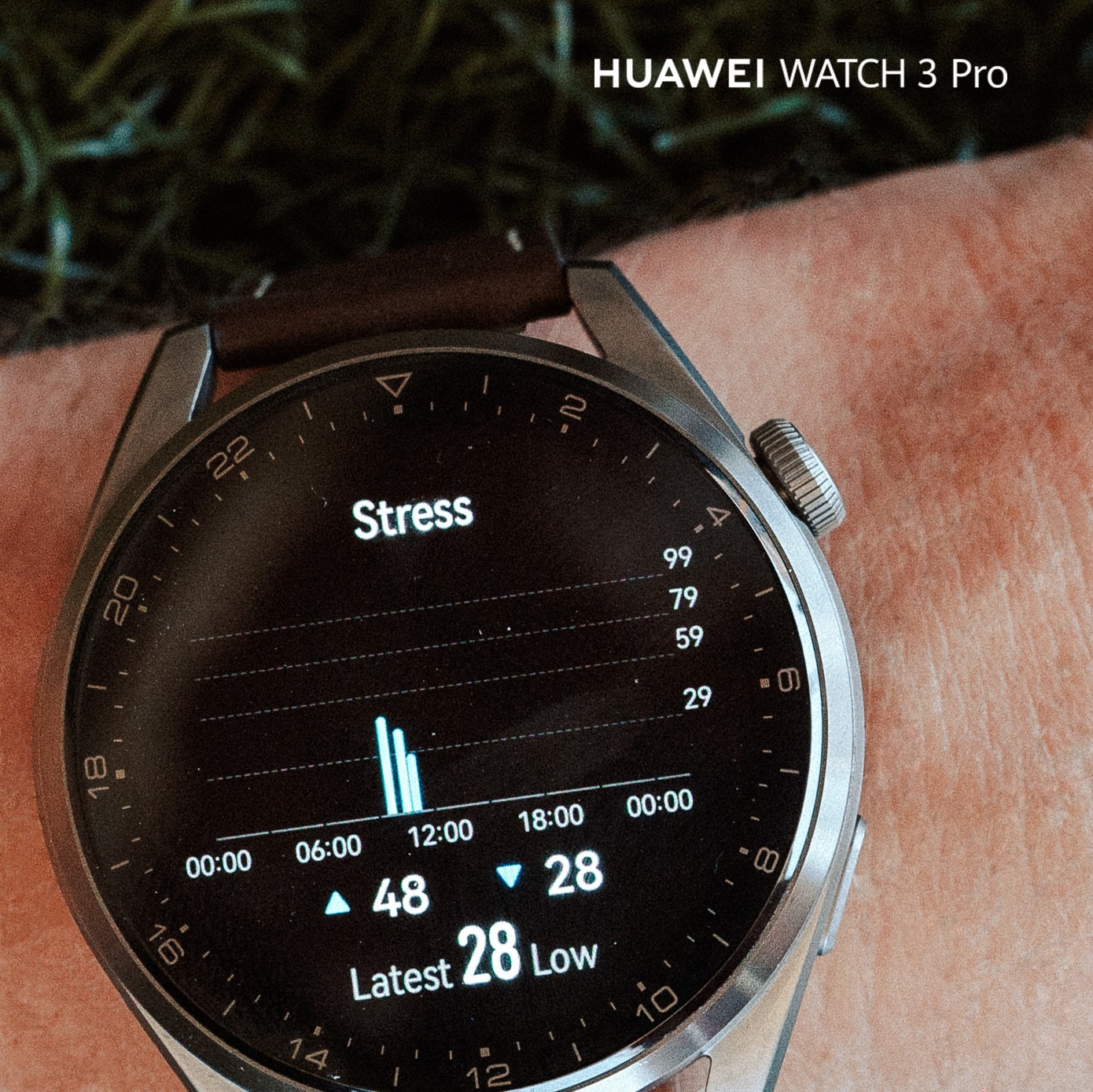 HUAWEI WATCH 3 - Stress