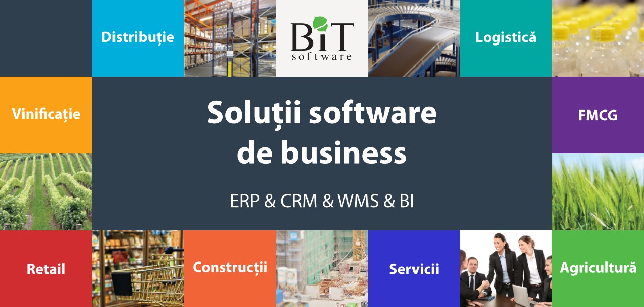 BITSoftware-solutii-software-de-business_Img2