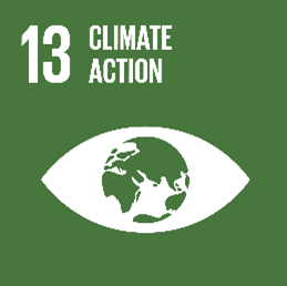 Brother Romania acordă premiile Climate Action 2022