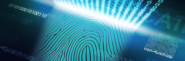 the system of fingerprint scanning - biometric security devices