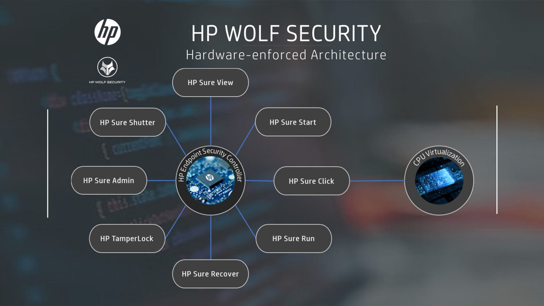 HP-Wolf-Infographic