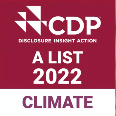 CDP logo