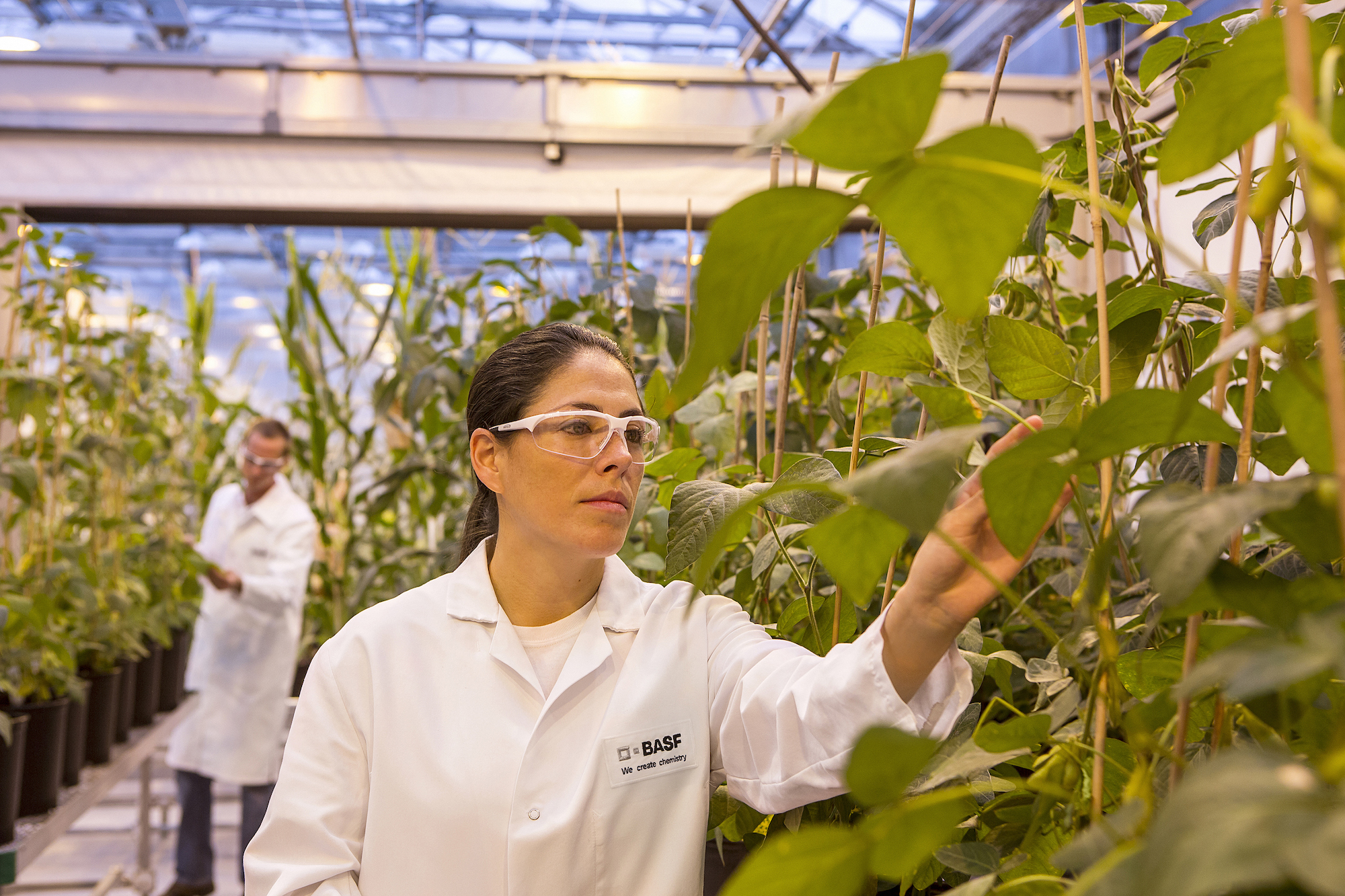 BASF propune soluții integrate inovatoare pentru a susține evoluția agriculturii