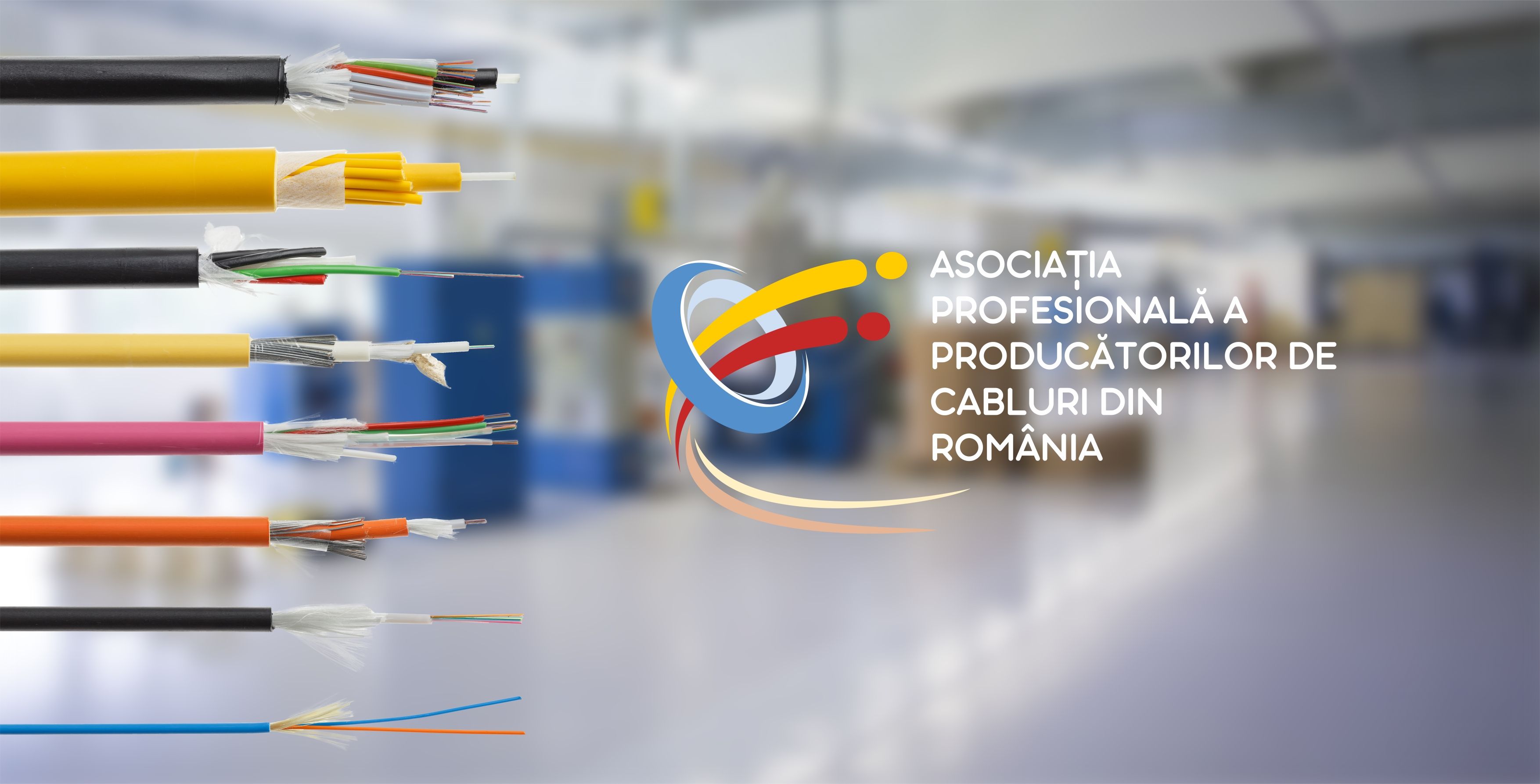 Asociația Profesională a Producătorilor de Cabluri din România încheie un protocol cu Inspecția Muncii dedicat implementării bunelor practici în domeniu