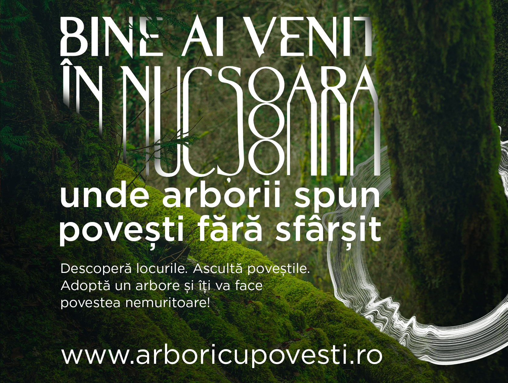 „Pădurea Poveștilor Nemuritoare” – o campanie care poate duce povestea vieții tale mai departe