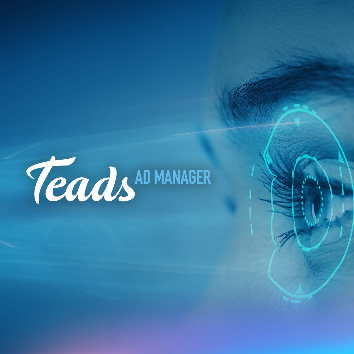 Teads Ads Manager