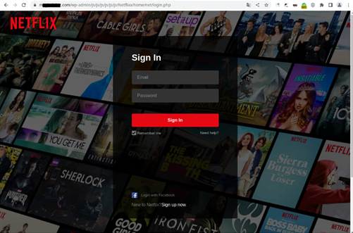 Pagina de phishing plasată sub forma „Netflix” și imitând formularul de conectare al paginii oficiale Netflix