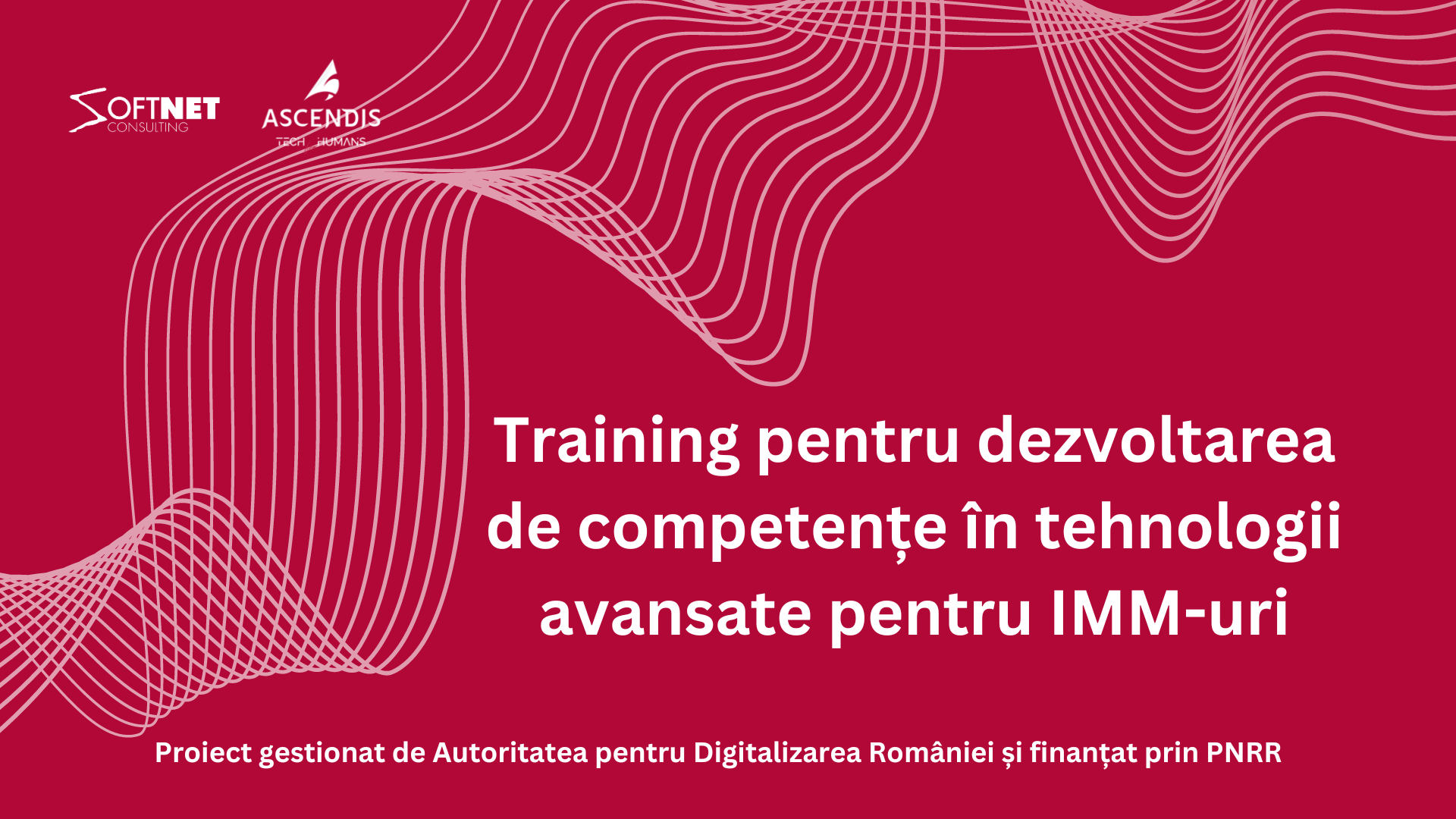 Training pentru dezvoltarea de competențe în tehnologii avansate pentru IMM-uri (Presentation)