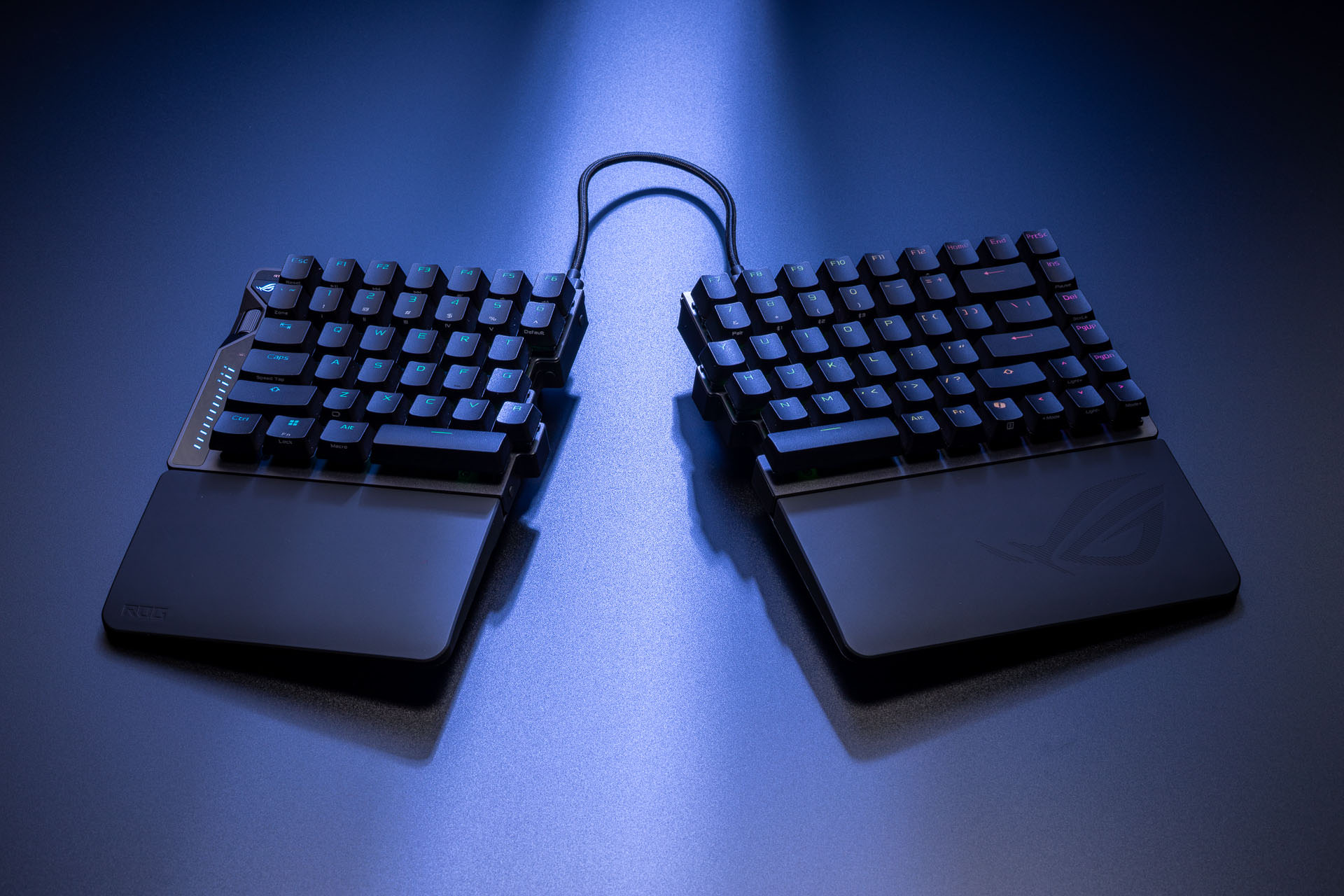 rog_falcata_0019