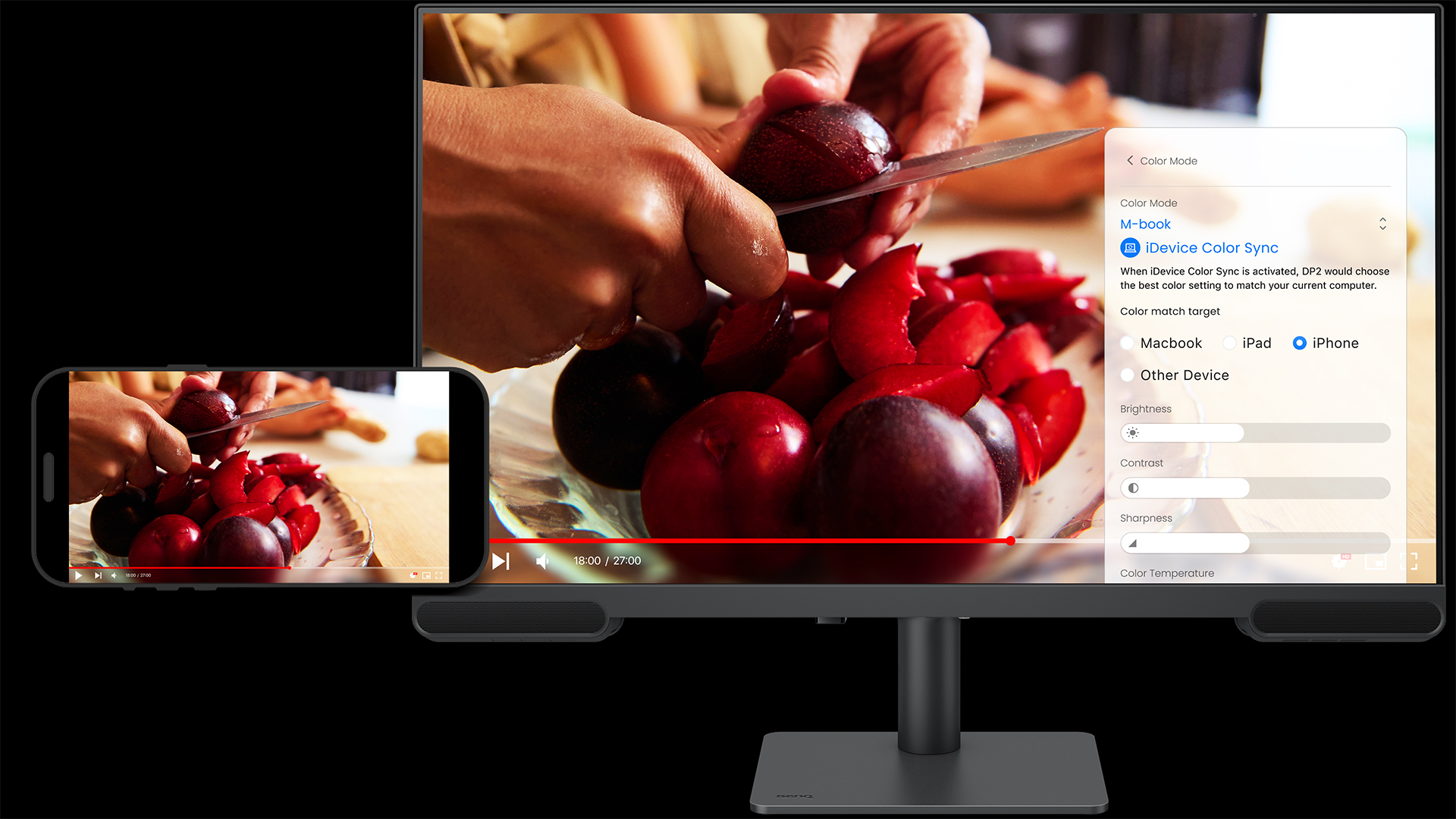 BenQ PV3200U (1)