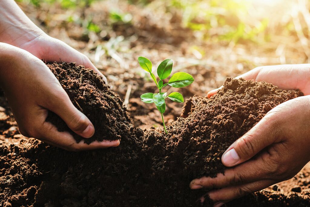 SGS - Reuters Sustainability