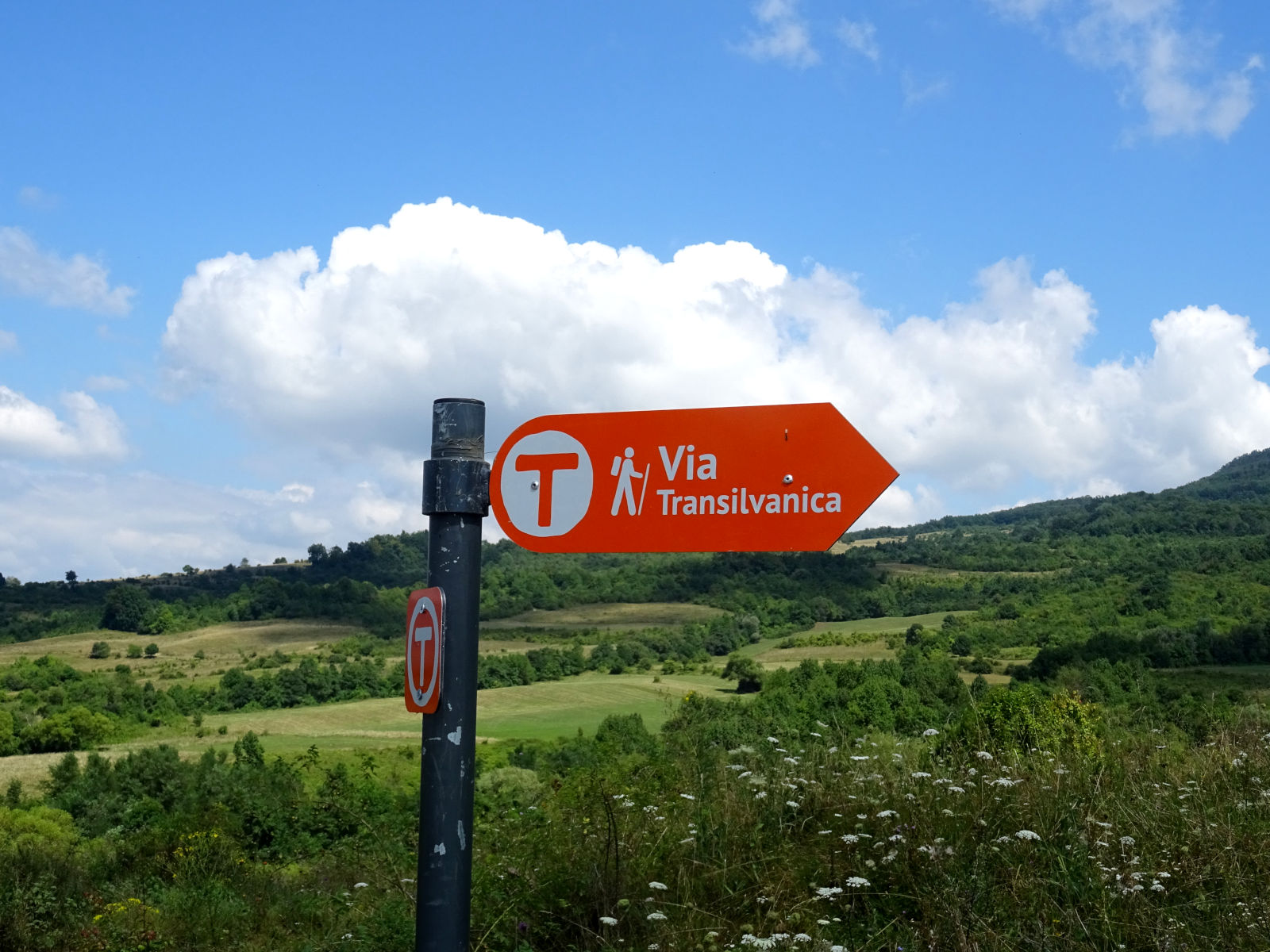 Via Transilvanica acoperită de o echipă Orange într-o singură zi