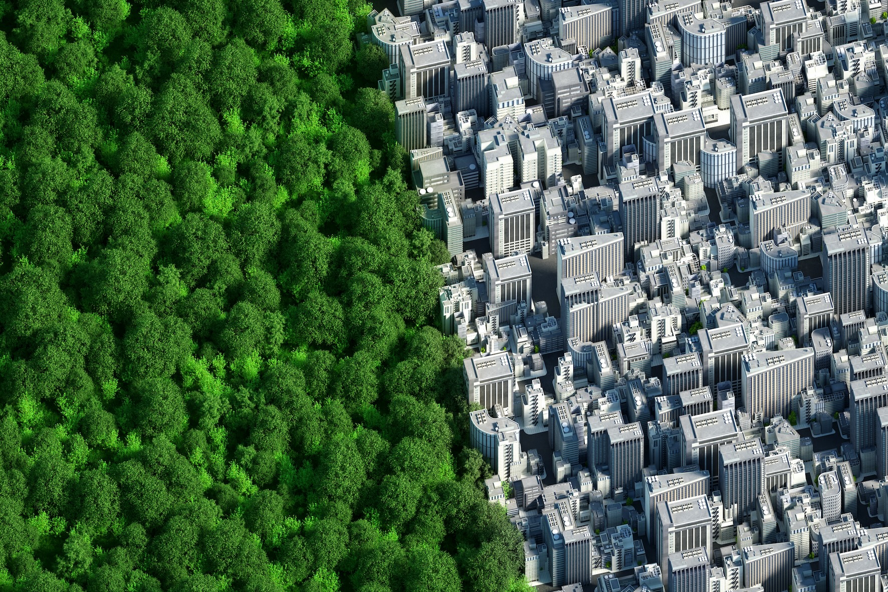 EcoConsult – soluția Schneider Electric pentru identificarea riscurilor și maximizarea economiilor