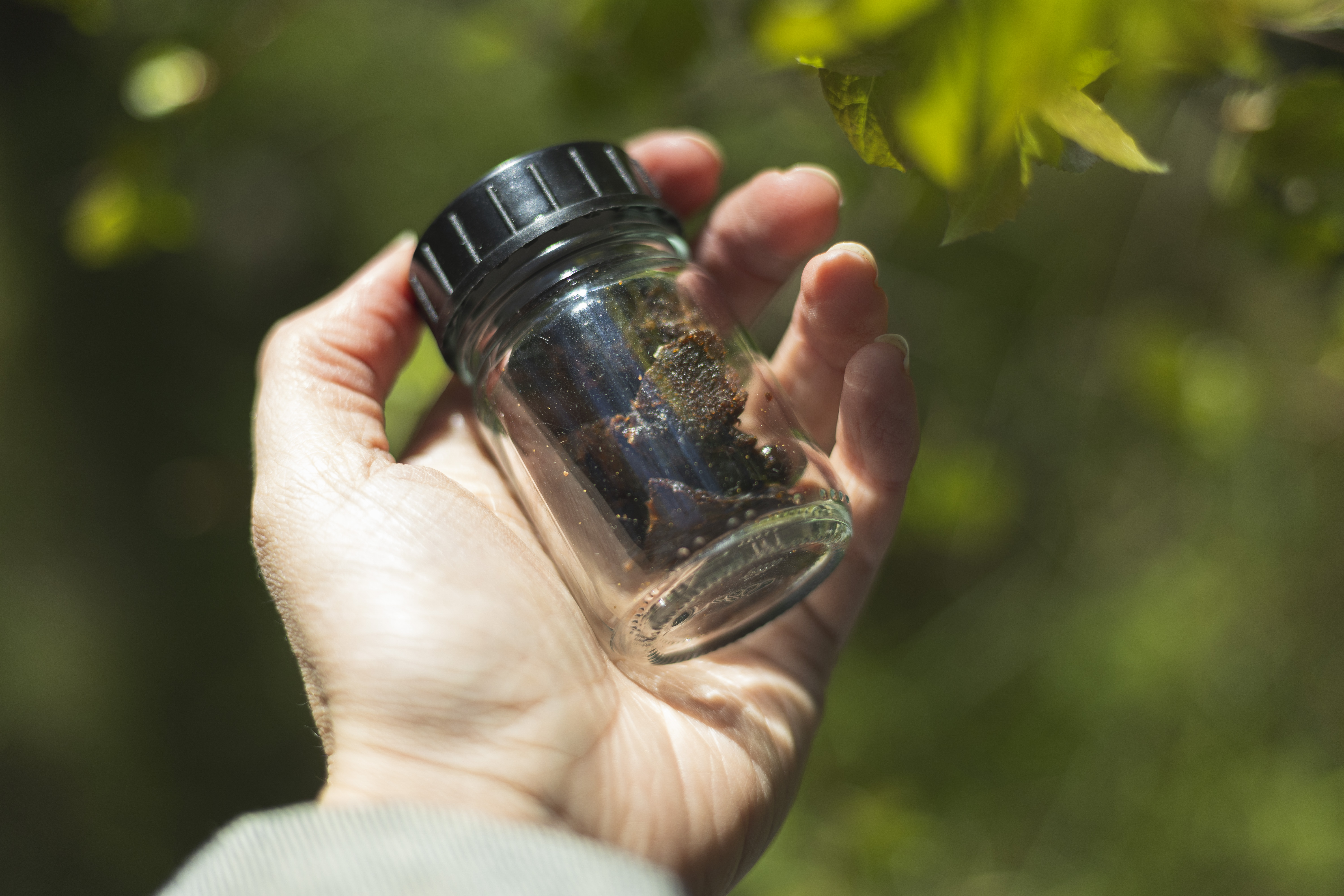 Reselo's+raw+material+made+from+birch+bark