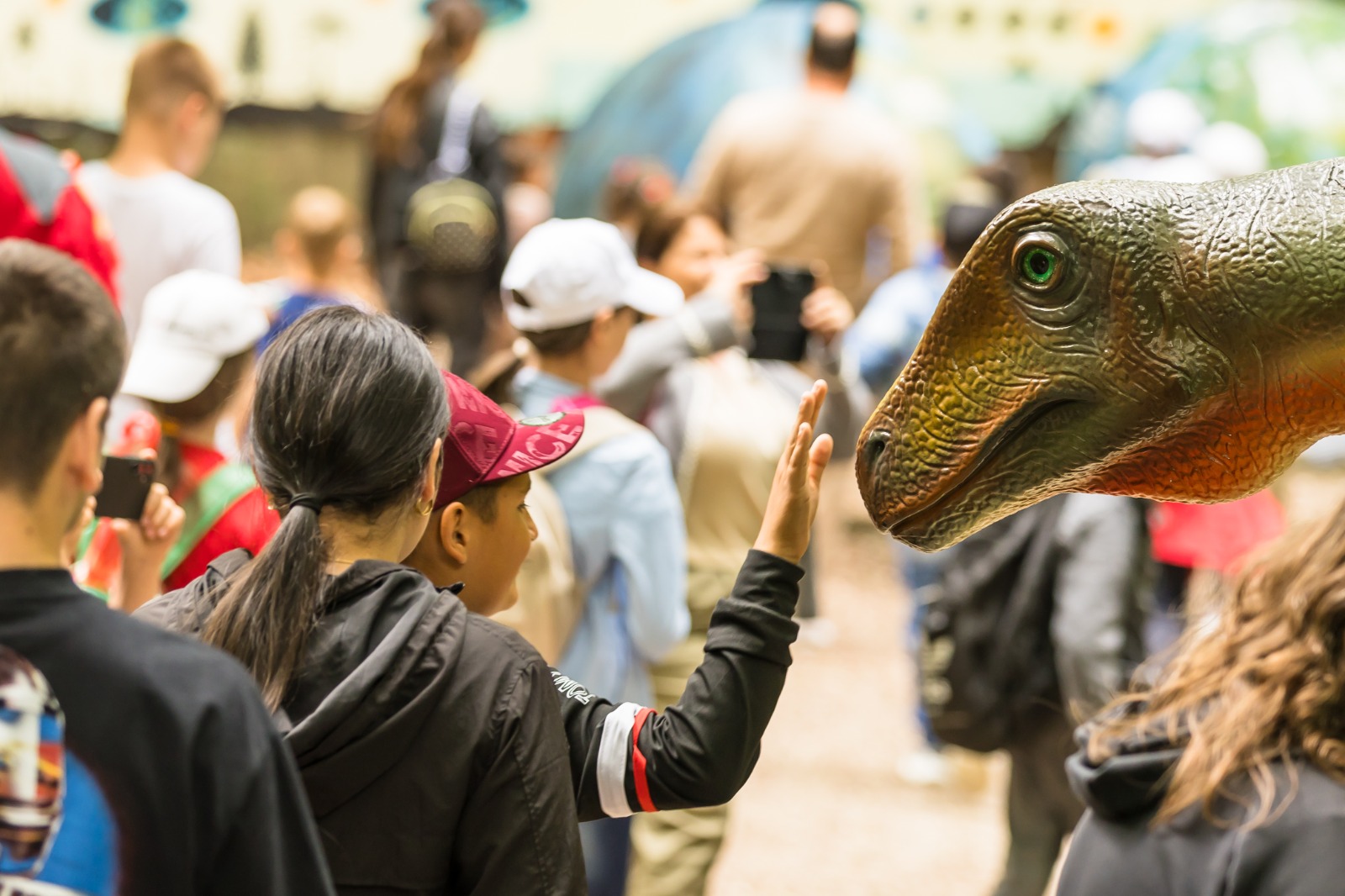 Dino Parc Râșnov confirmă maturitatea unui business, la 11 ani de la deschidere
