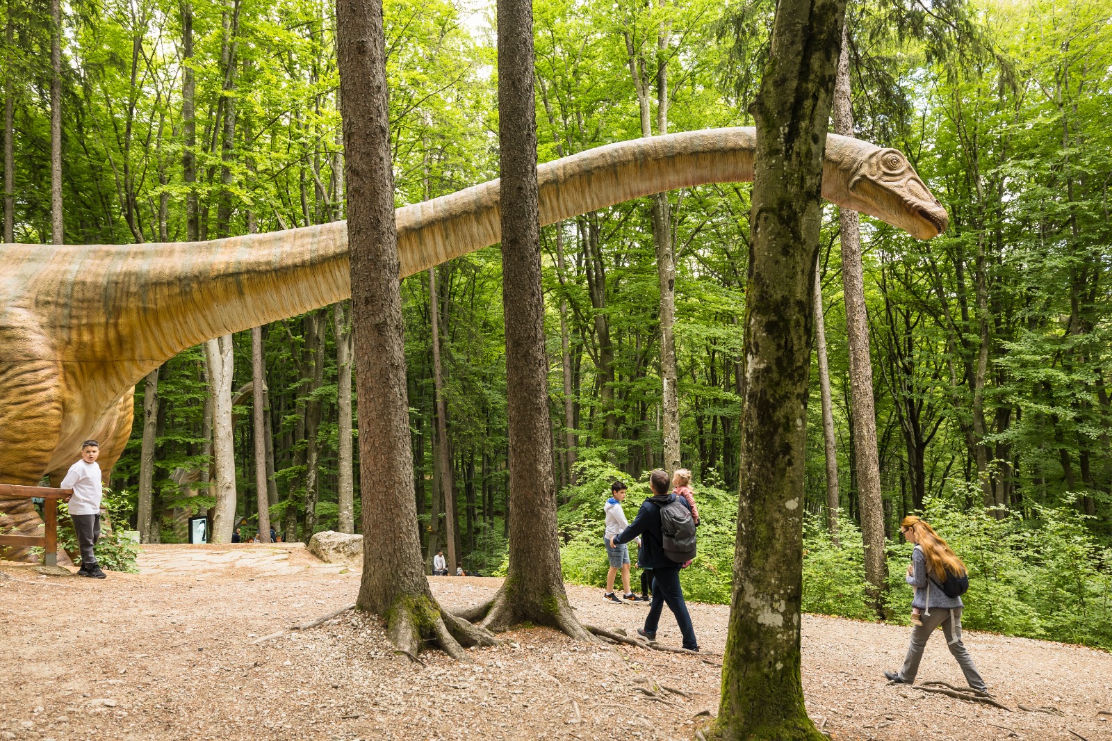 Dino Parc 3