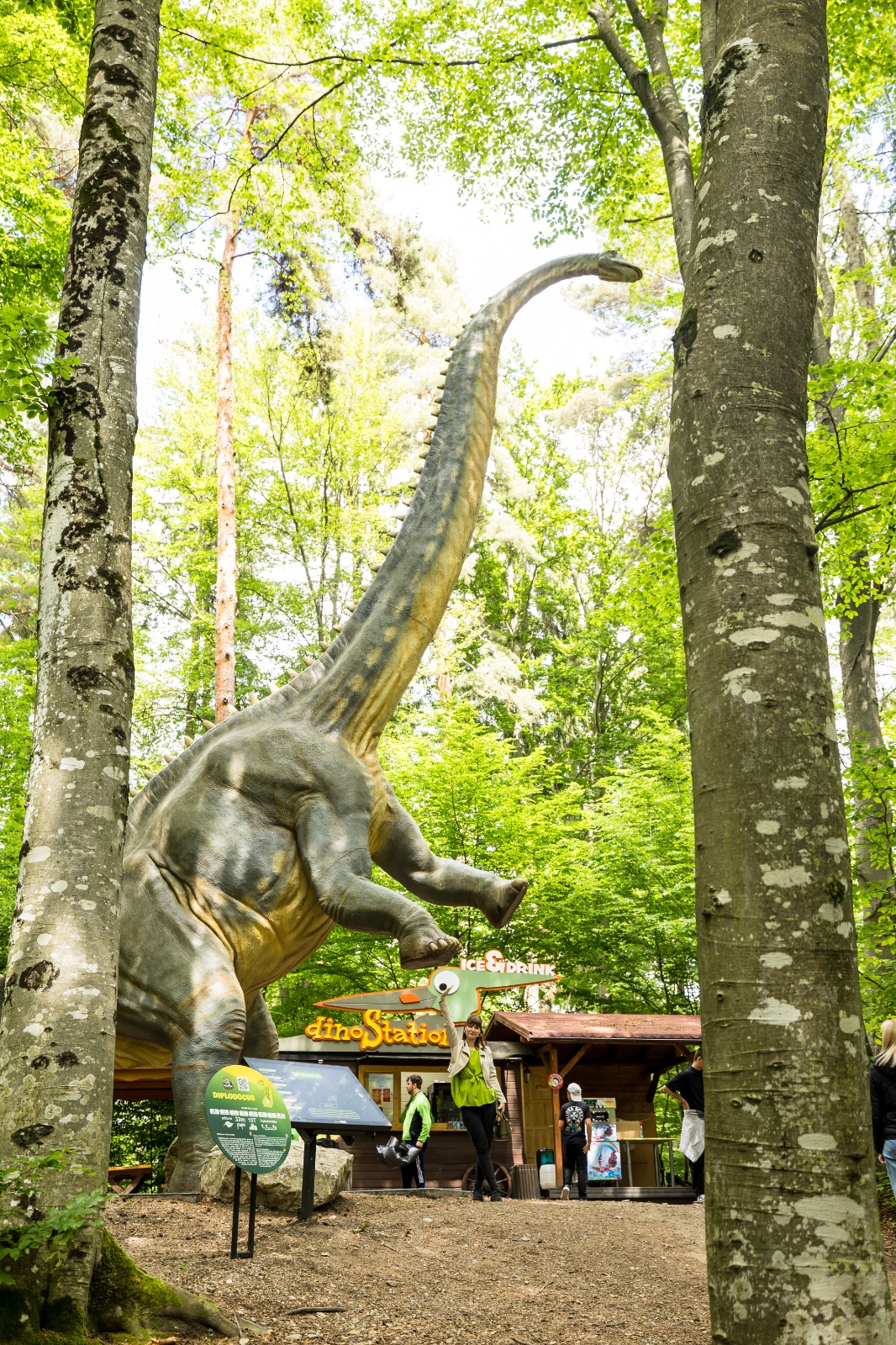 Dino Parc 4