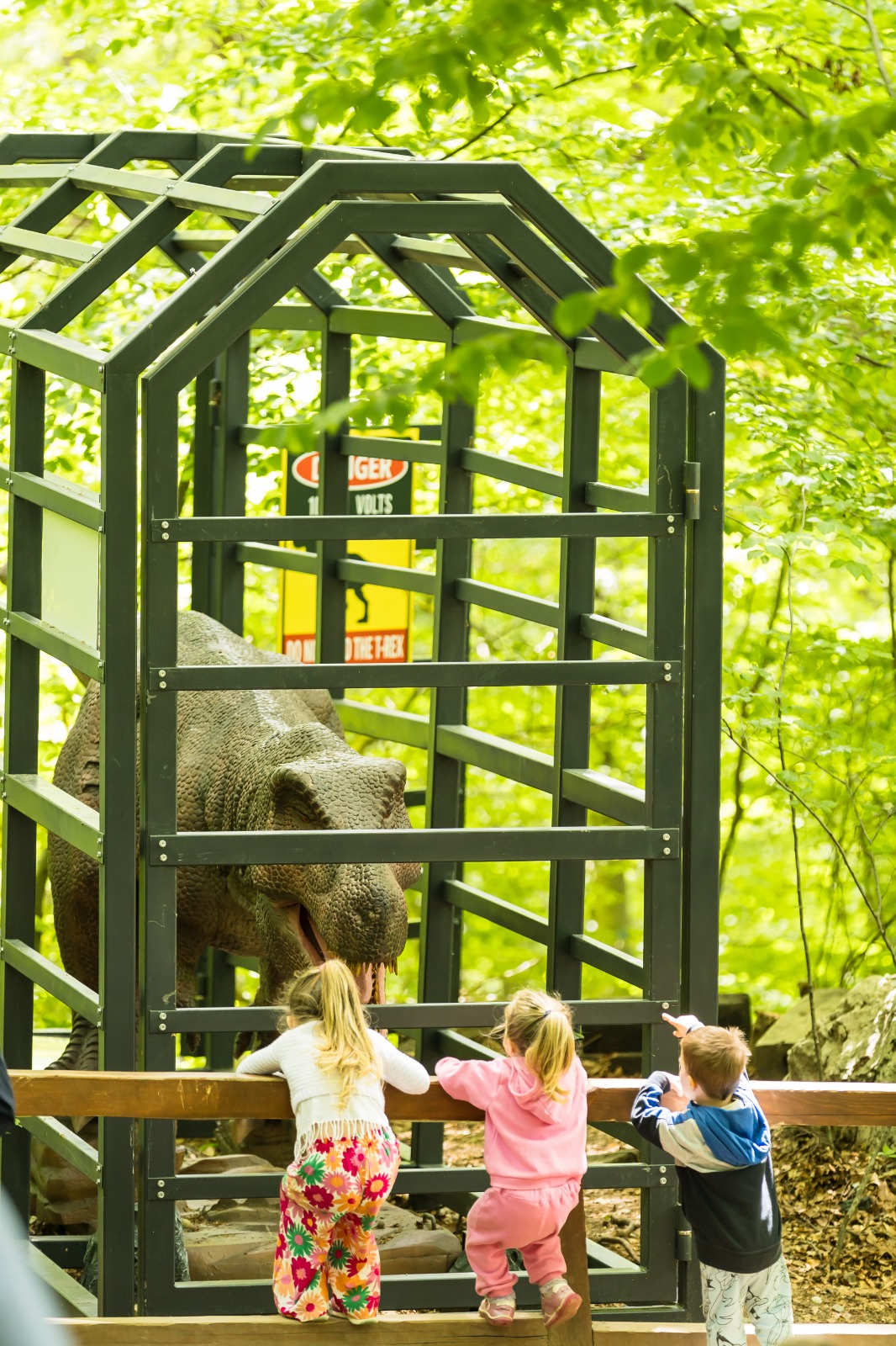 Dino Parc 5