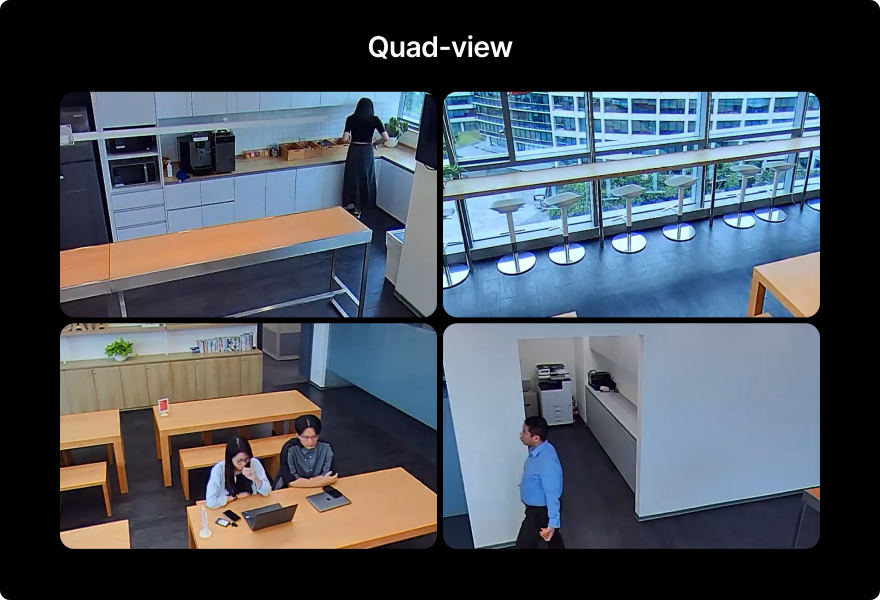 quad view