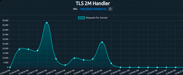 Exemplu de date de telemetrie provenite de la un atac monitorizat de un site de tip leaderboard